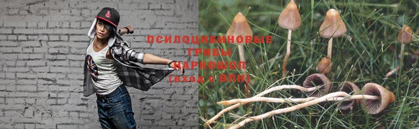 соль ск Магадан