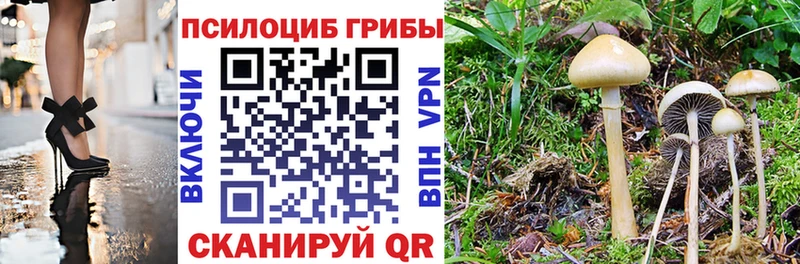 Галлюциногенные грибы ЛСД  Купить закладки  Гаджиево 